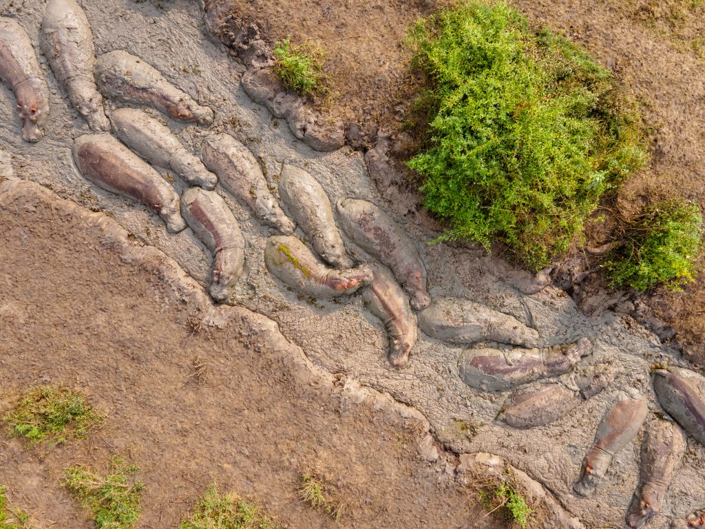 6 Days Safari to Murchison Falls and Queen Elizabeth