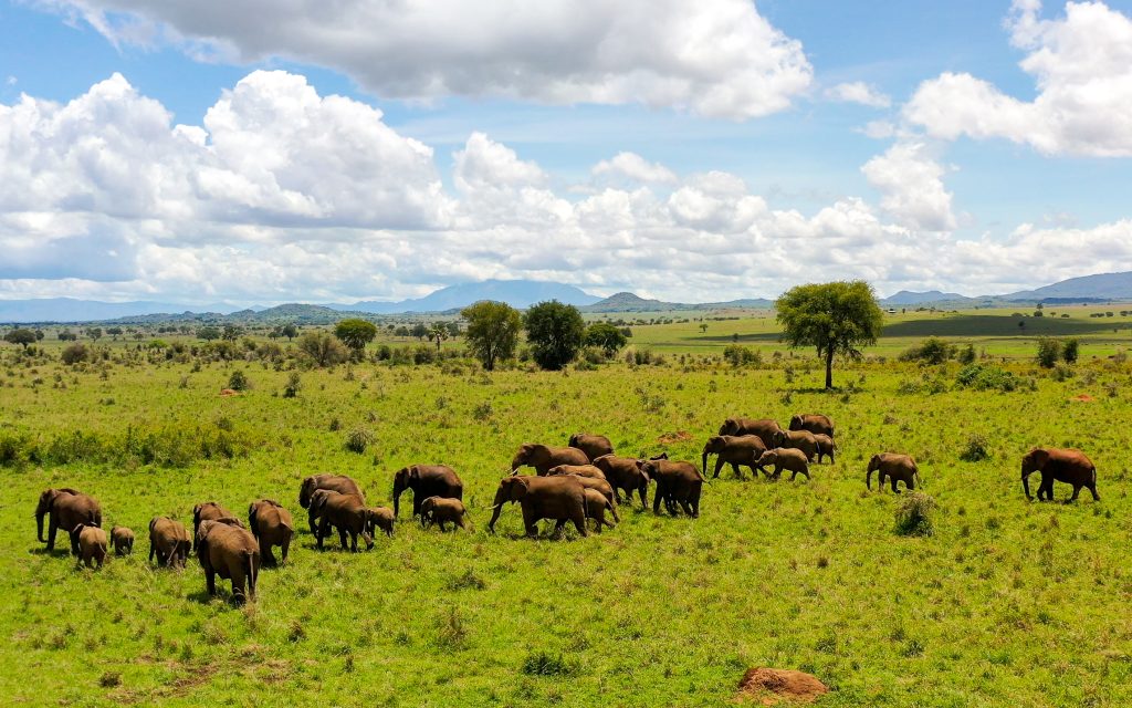 6 Days Uganda Wildlife Safari with Nature & Culture