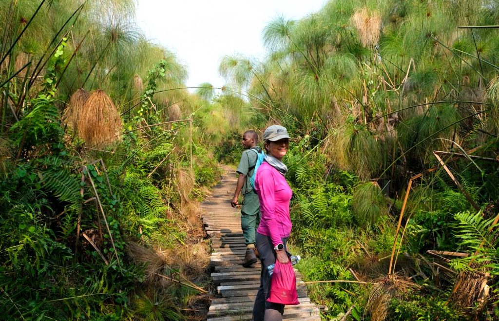 Kibale National Park