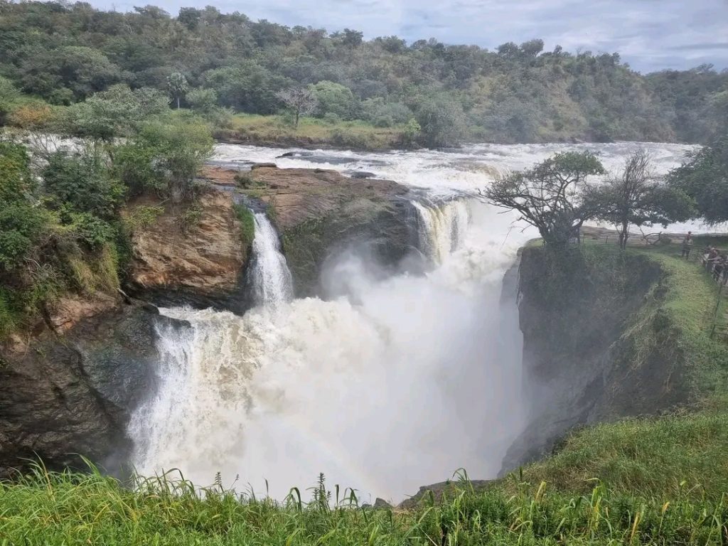 Top of Murchison Falls