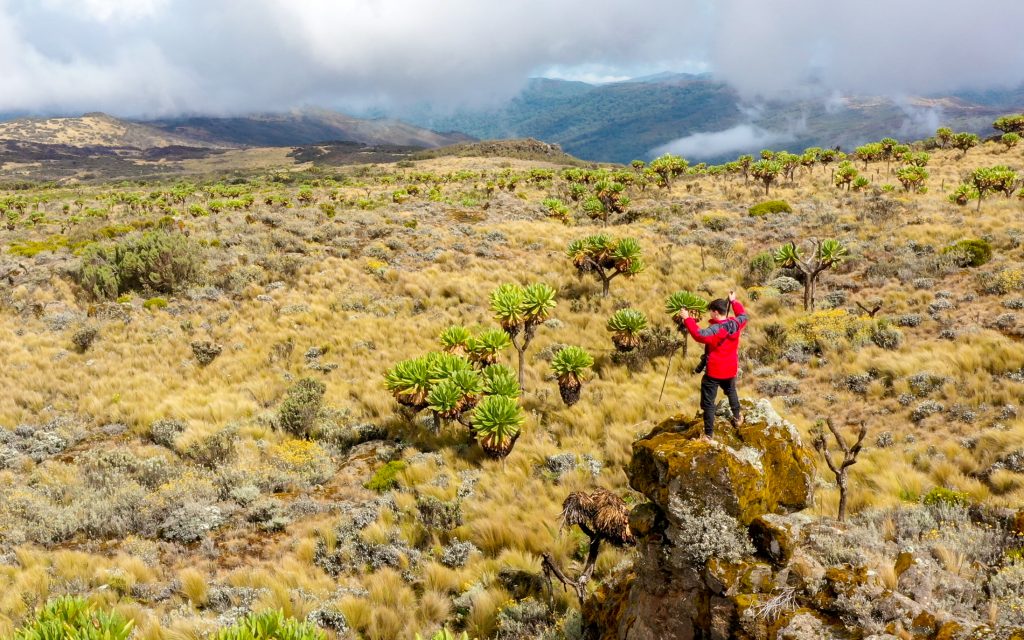 Mountain Elgon National Park