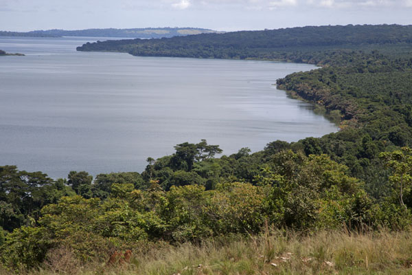 Ssese Island