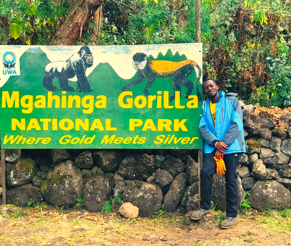 Golden Monkey Tracking